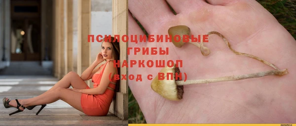 каннабис Верея
